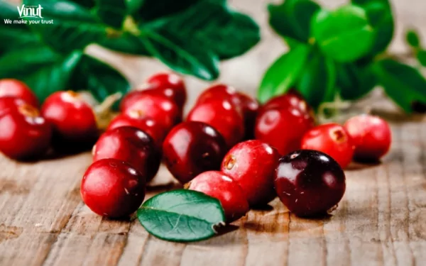 VINUT_Cranberries VINUT_Cranberries