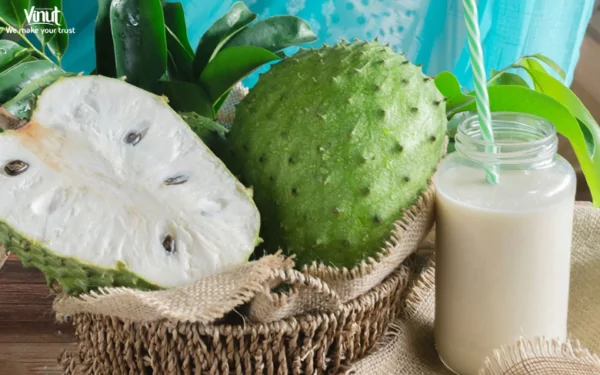 VINUT_Soursop VINUT_Soursop