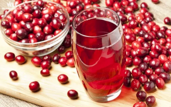 VINUT_Cranberry Juice: A Natural Remedy for Urinary Tract Infections VINUT_Cranberry Juice: A Natural Remedy for Urinary Tract Infections