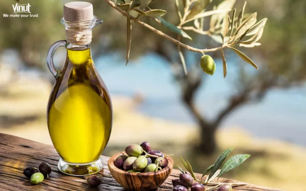 VINUT_ Olive Oil Production VINUT_ Olive Oil Production