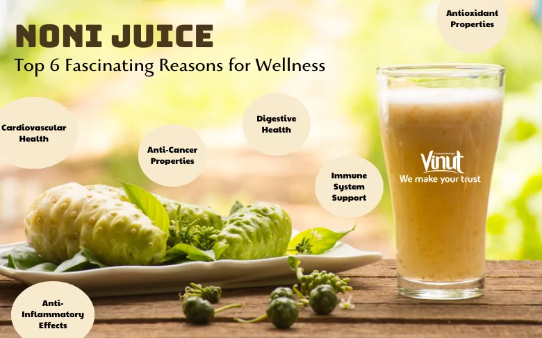 Noni Juice: Top 6 Fascinating Reasons for Wellness Noni Juice: Top 6 Fascinating Reasons for Wellness