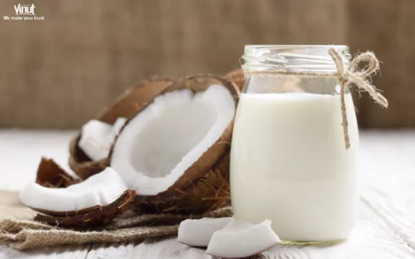 VINUT_What is Coconut Milk? VINUT_What is Coconut Milk?