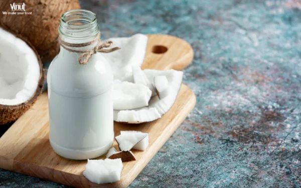 VINUT_What is Coconut Milk? VINUT_What is Coconut Milk?