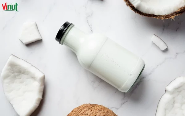 VINUT_Health Benefits of Coconut Milk Drinks VINUT_Health Benefits of Coconut Milk Drinks