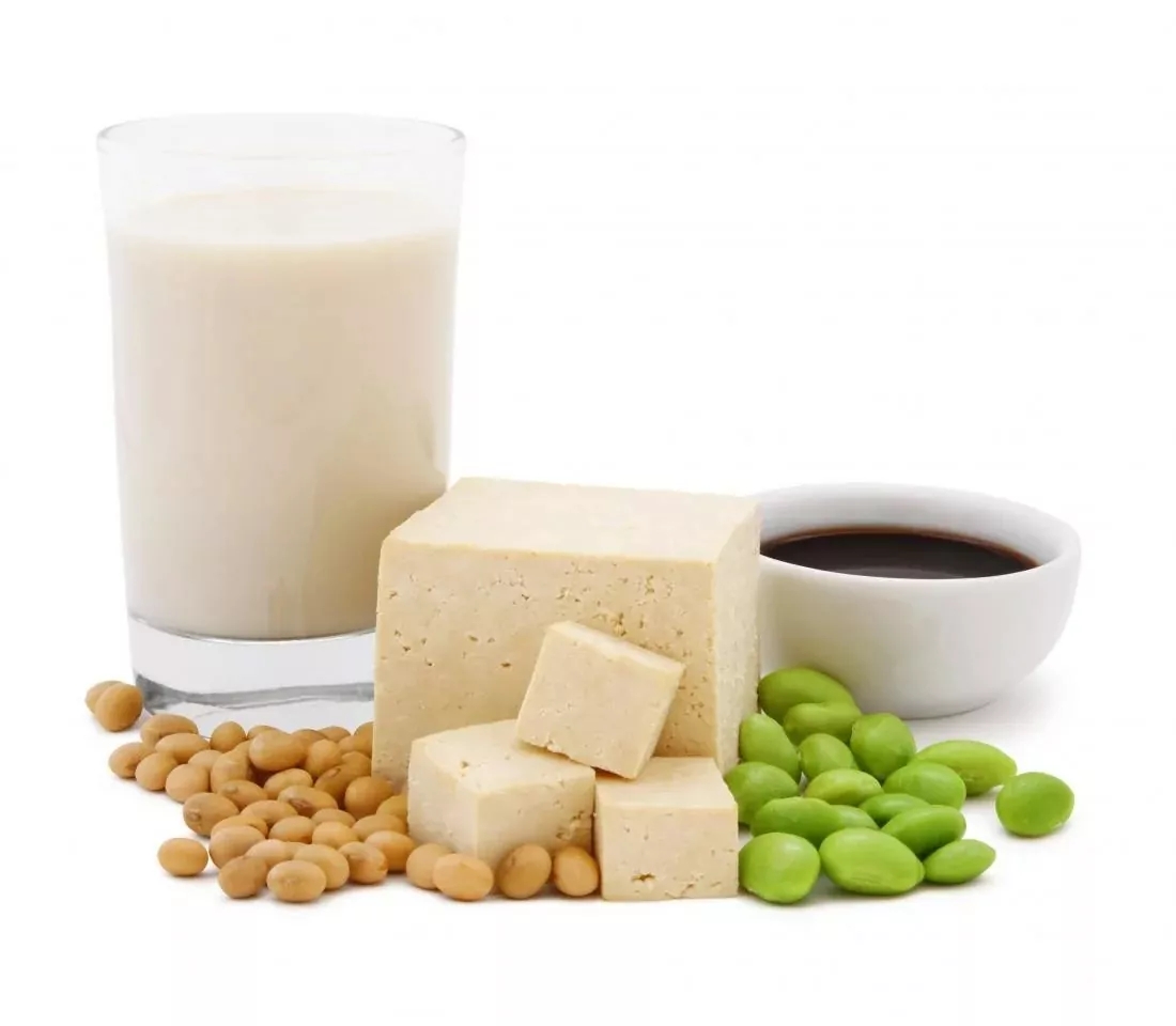 Plant-based Protein The Best, the Worst, and Everything In Between 2 Plant-based Protein The Best, the Worst, and Everything In Between