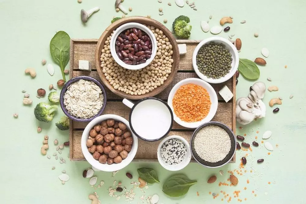 Plant-based Protein The Best, the Worst, and Everything In Between 4 Plant-based Protein The Best, the Worst, and Everything In Between
