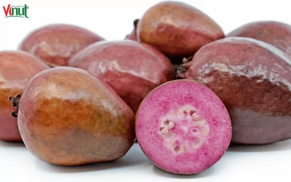 VINUT_Red Malaysian Guava VINUT_Red Malaysian Guava