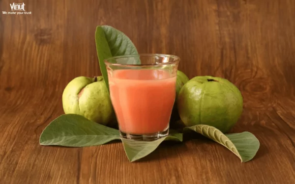 VINUT_Guava Juice: What's in a Glass? VINUT_Guava Juice: What's in a Glass?