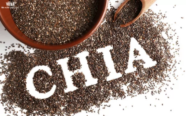 VINUT_What Are Chia Seeds? VINUT_What Are Chia Seeds?