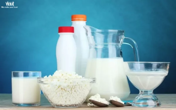 VINUT_How Does Rice Milk Compare to Other Dairy Alternatives? VINUT_How Does Rice Milk Compare to Other Dairy Alternatives?