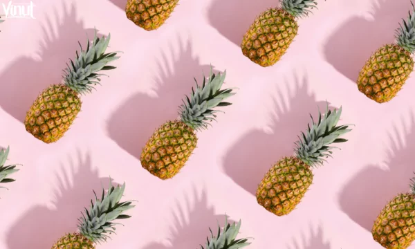VINUT_Pineapple: A Tropical Marvel VINUT_Pineapple: A Tropical Marvel