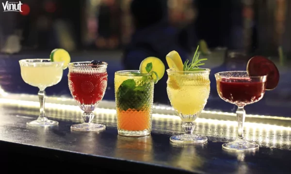 VINUT_Virgin Delights: Mocktails for All VINUT_Virgin Delights: Mocktails for All
