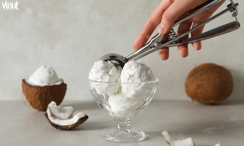 The Magic of Coconut Milk in Cooking 5 VINUT_Dairy-Free Desserts