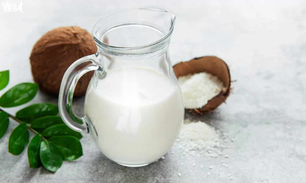 The Magic of Coconut Milk in Cooking 9 VINUT_Nutritional Benefits