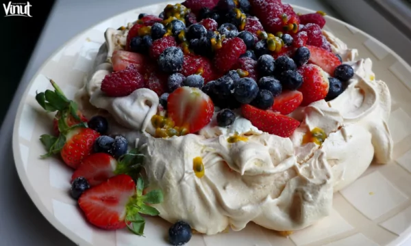 VINUT_Pavlova VINUT_Pavlova