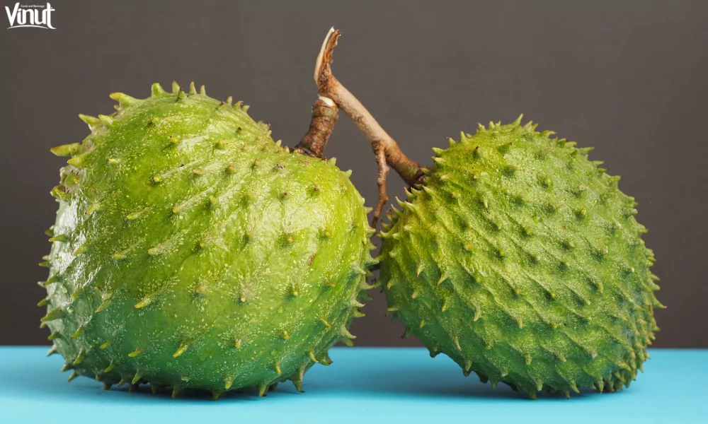 Soursop: Discovering the Special Tropical Fruit 3 VINUT_The Origin