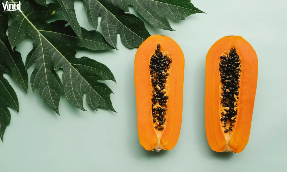 Papaya Skincare Benefits: Natural Beauty Remedies 6 VINUT_The Origins of Papaya