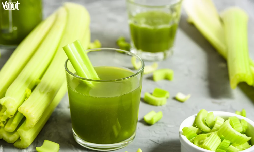Celery Juice: Discovering the 7 Special Benefits 2 VINUT_What Exactly is Celery Juice?
