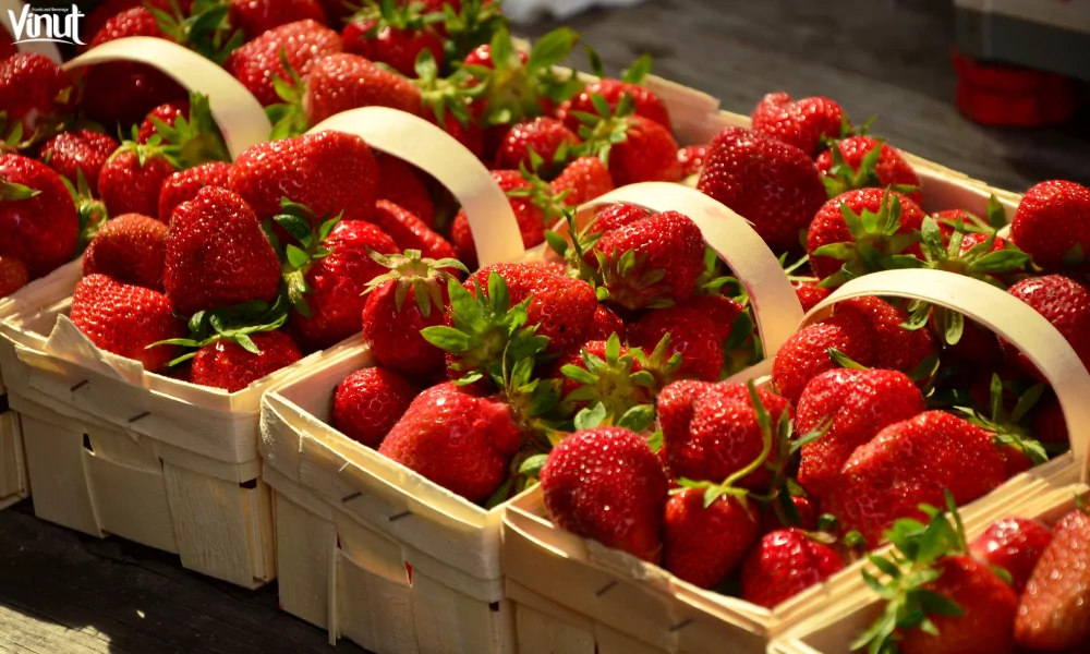 Top 10 Popular Fruits Around The World 5 VINUT_A Brief History of Strawberries
