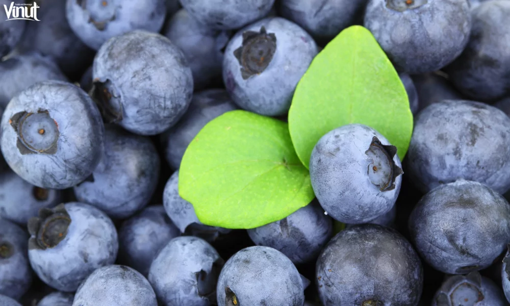 Top 10 Popular Fruits Around The World 7 VINUT_Incorporating Blueberries into Your Diet