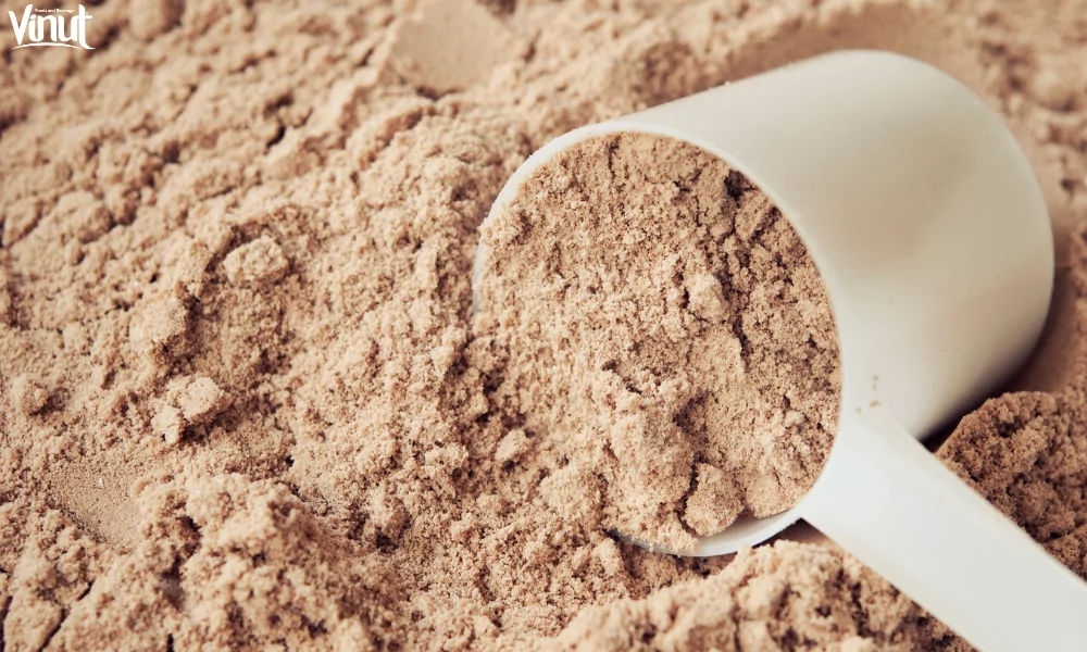 Chocolate Protein Shakes: Amazing Source of Nutrition 3 VINUT-A Comprehensive Guide to Chocolate Protein Shakes