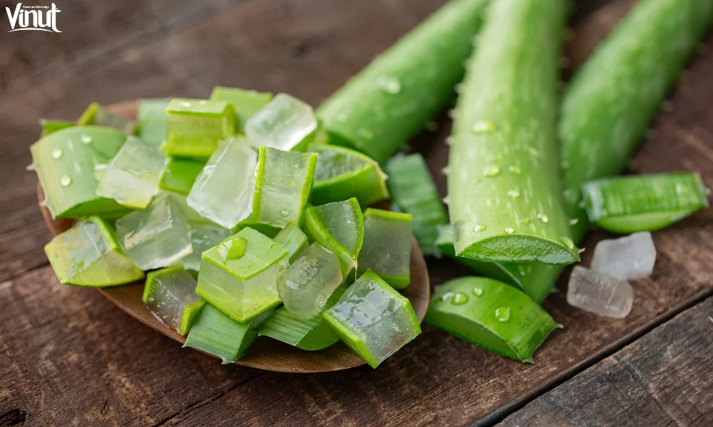 Unlock the Natural Wonders of Aloe Vera 3 VINUT_Benefits of Aloe Vera in Skincare