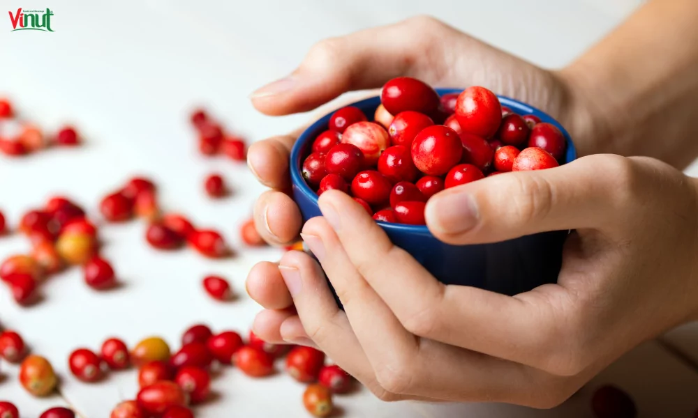 The Comprehensive Guide to Cranberry Health Benefits 2 VINUT_Nutritional Profile of Cranberry