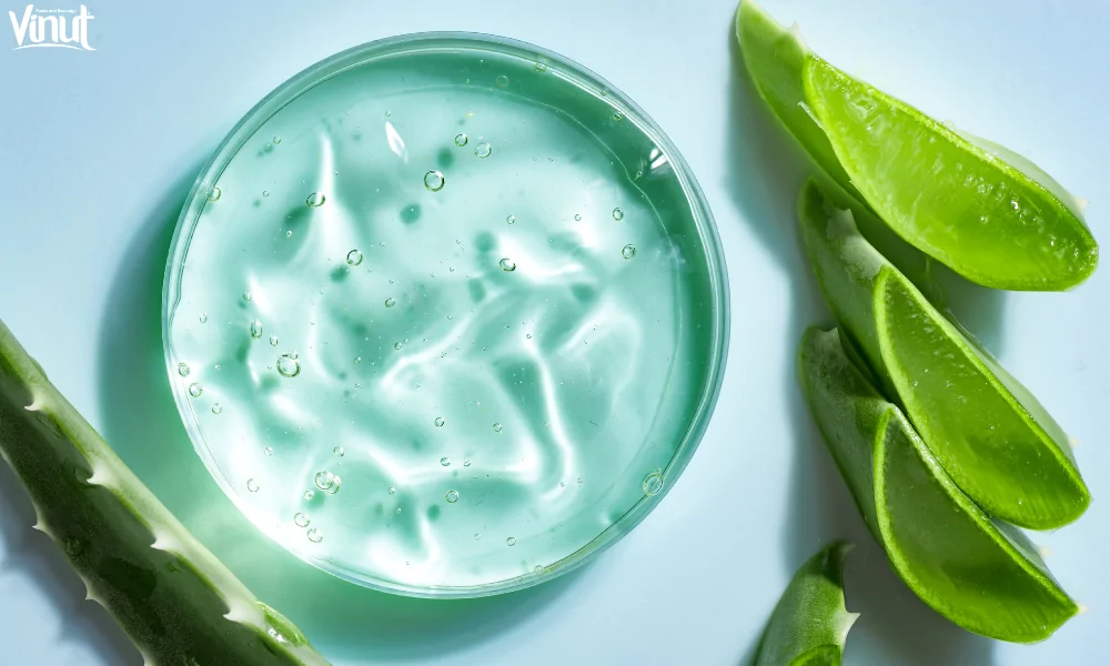 Unlock the Natural Wonders of Aloe Vera 4 VINUT_Aloe Vera in Hair Care