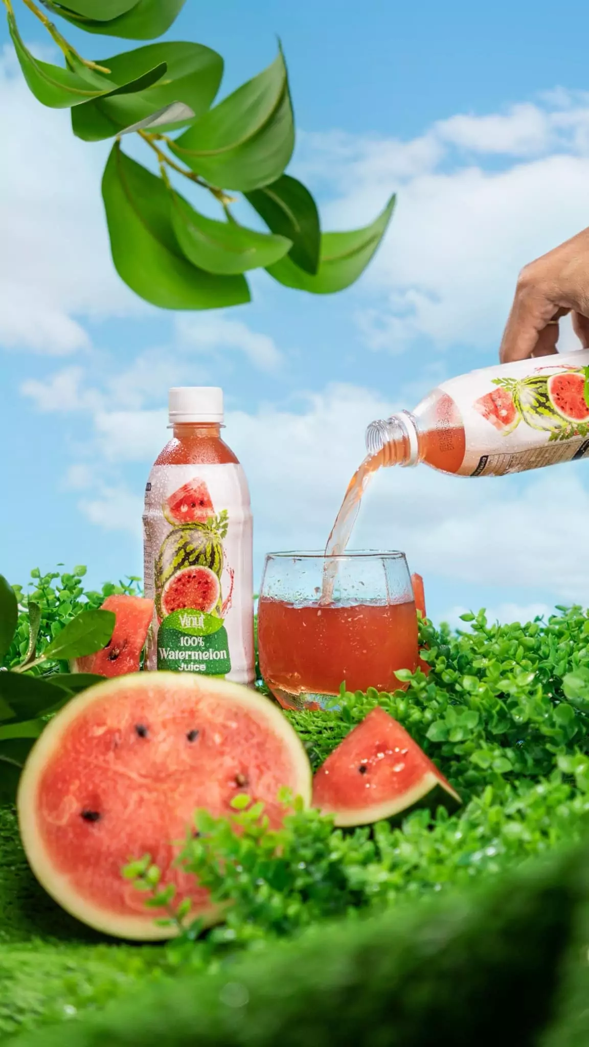 Watermelon Juice: Exploring Trends for Refreshing Summer Drinks 6 VINUT_Watermelon Juice: Choosing the Right Product for You