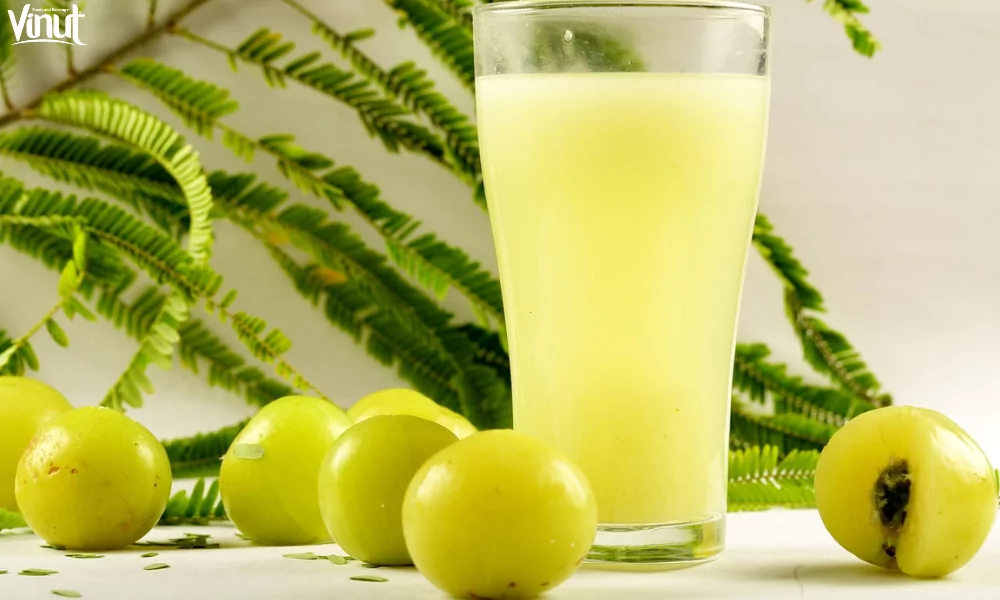 Make Amla Juice at Home - Boost Your Health Naturally 3 VINUT_The Nutritional Profile of Amla Juice