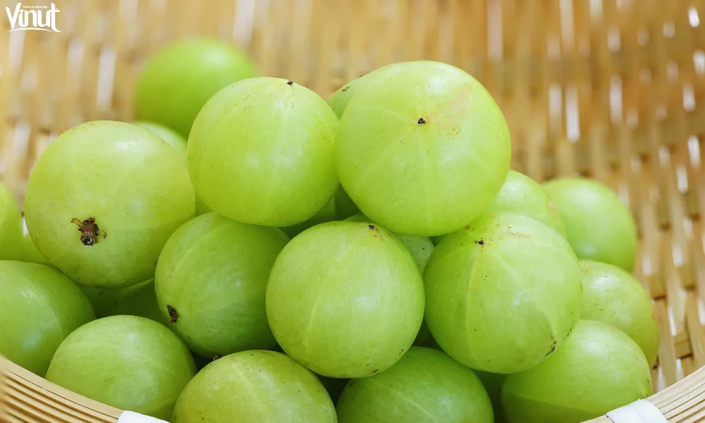 Amla Juice: Discover the Incredible Health Benefits 3 VINUT_The Science Behind Amla Juice’s Health Claims