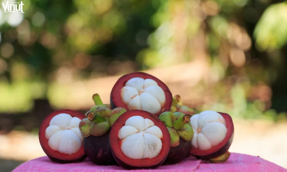 Mangosteen: 5 Special Health Benefits 10 website 1 6