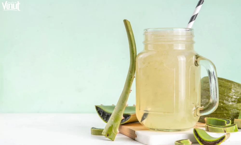 Aloe Vera Juice in Traditional Medicine 7 website 11