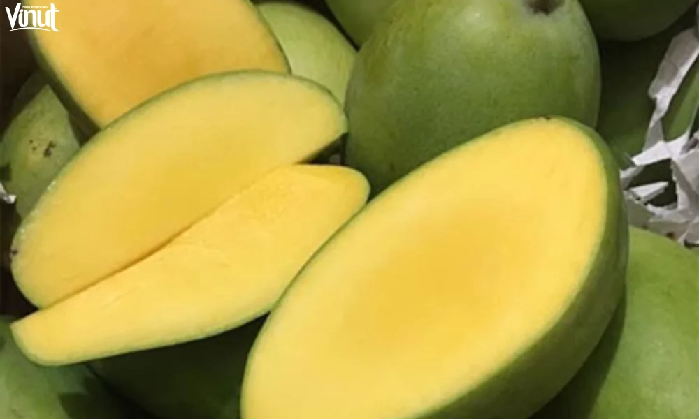Top 6 Popular Vietnamese Mango Varieties 3 website 19 1