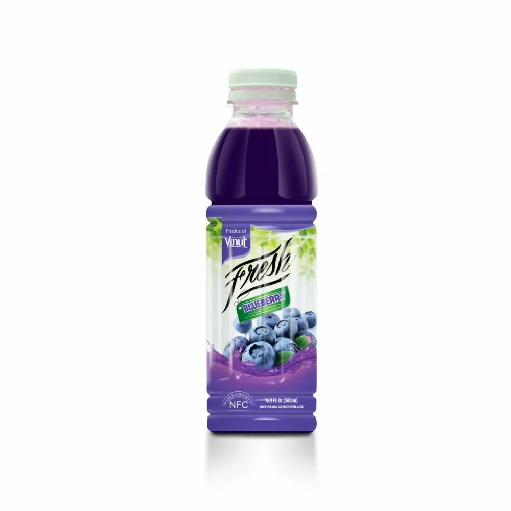 16.9 fl oz VINUT Bottle Fresh Blueberry Juice Drink