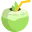 Organic Coconut Water