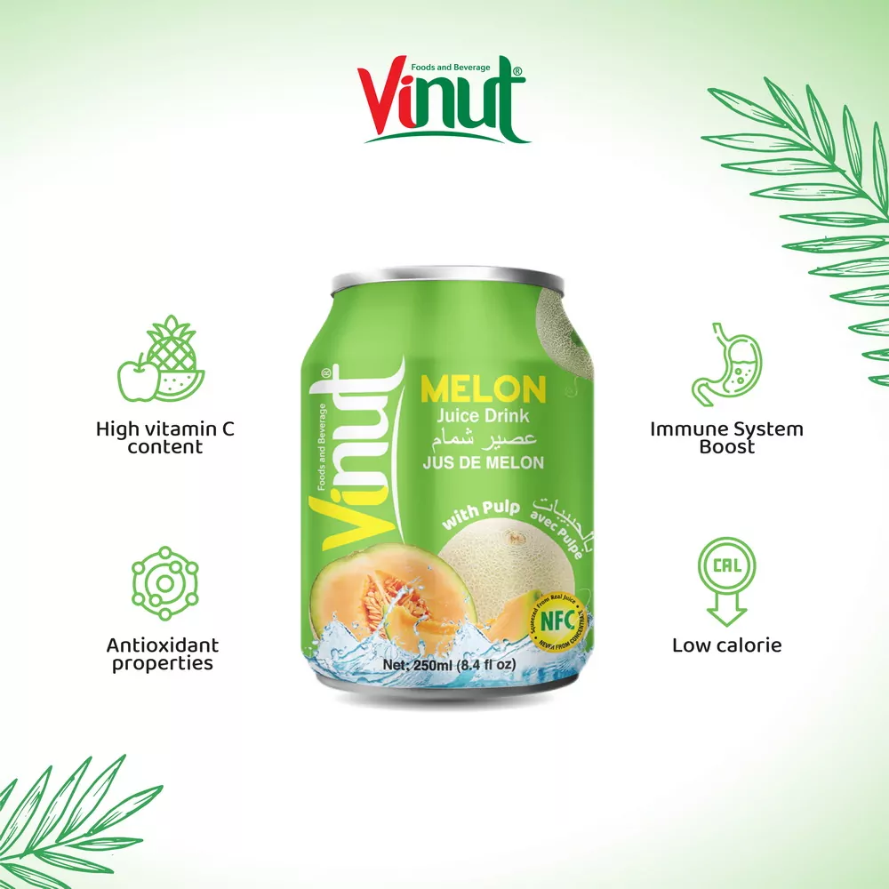 250ml Vinut Melon Juice drink with Pulp 2