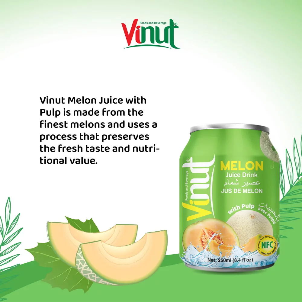250ml Vinut Melon Juice drink with Pulp 3