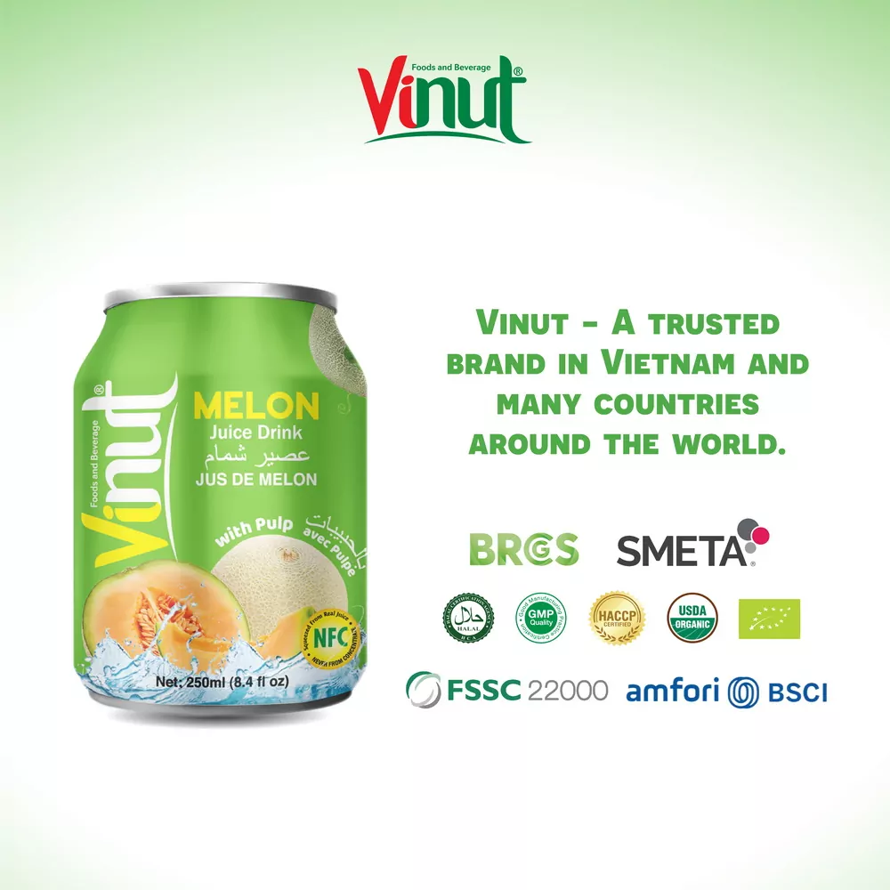 250ml Vinut Melon Juice drink with Pulp 4