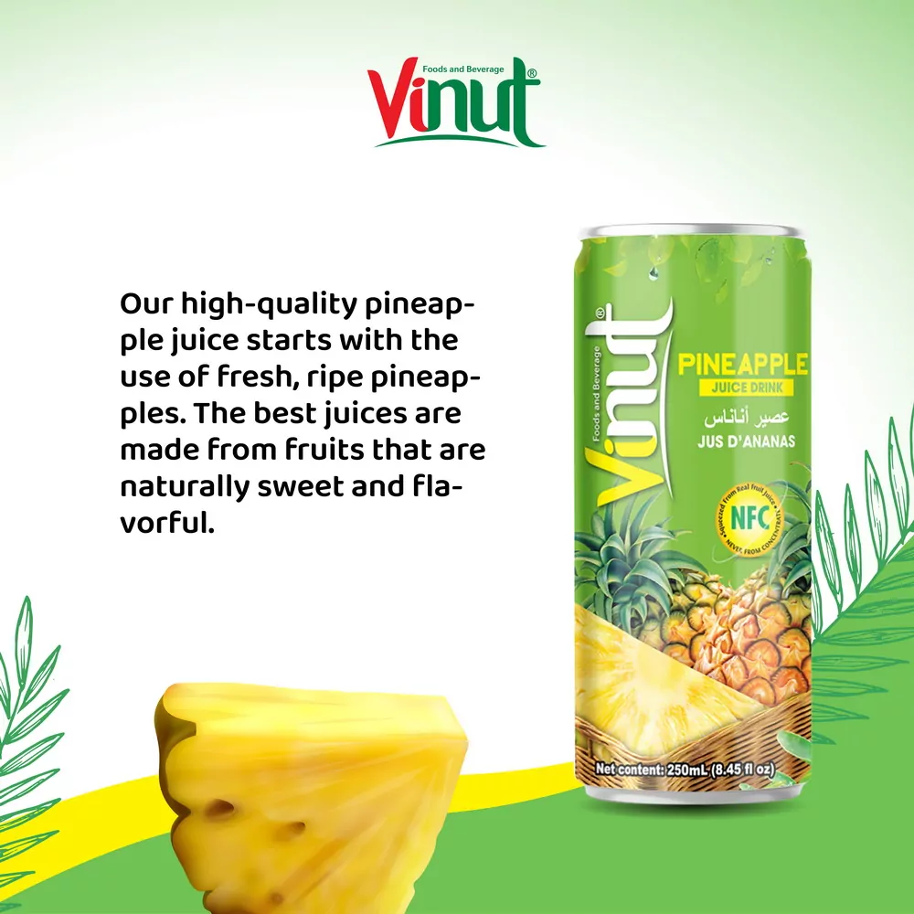 250ml Vinut Pineapple Juice 30 juice 3