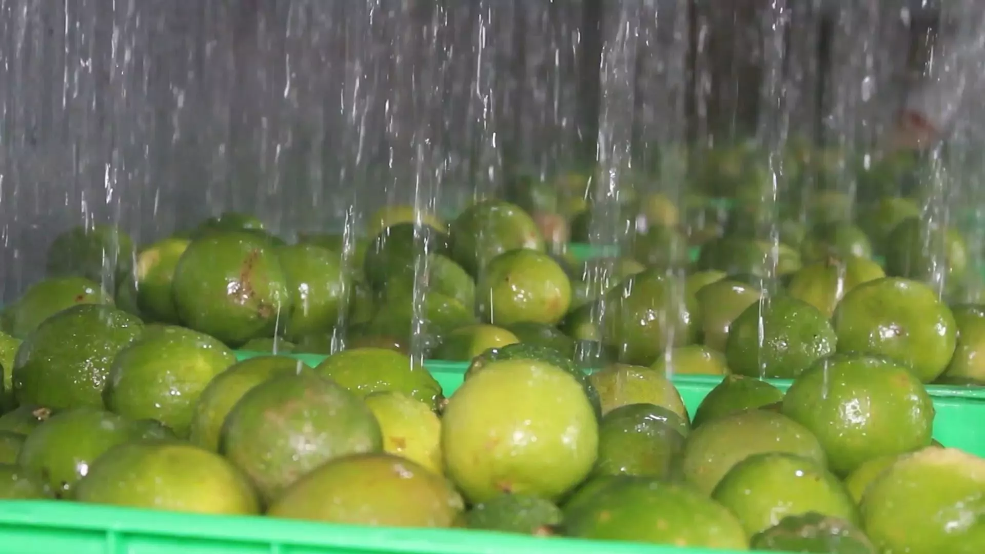 Lemon 350ml VINUT Lime – Honey – Lemongrass with Deep sea salt - Image 10