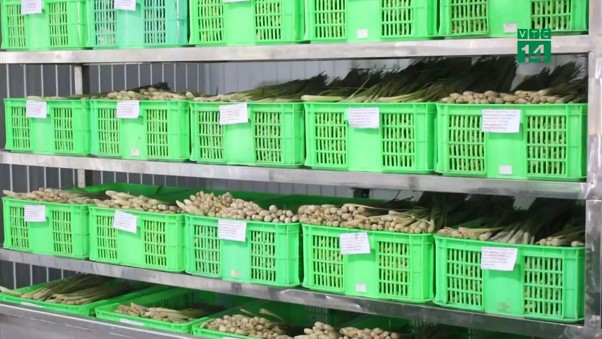 Lemongrass (1) 350ml VINUT Lime – Honey – Lemongrass with Deep sea salt - Image 4