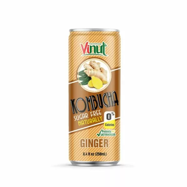 8.4 fl oz VINUT Kombucha natural Ginger Juice free sugar