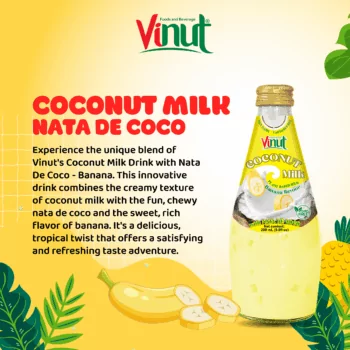 9.8 fl oz Vinut Bottle Coconut milk & banana with Nata de coco