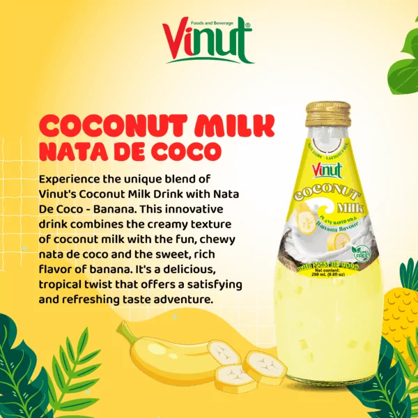 9.8 fl oz Vinut Bottle Coconut milk & banana with Nata de coco