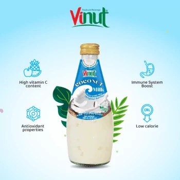 9.8 fl oz Vinut Bottle Coconut milk Original with Nata de coco
