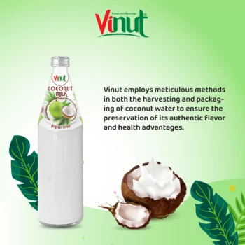 490ml Vinut Bottle Coconut milk Original with Nata de coco