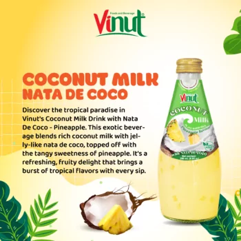 9.8 fl oz Vinut Bottle Coconut milk & Pineapple with Nata de coco
