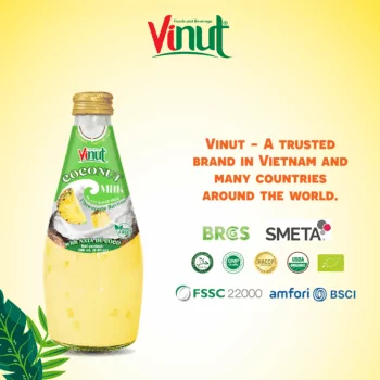 9.8 fl oz Vinut Bottle Coconut milk & Pineapple with Nata de coco
