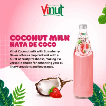 490ml Vinut Bottle Coconut milk Strawberry with Nata de coco